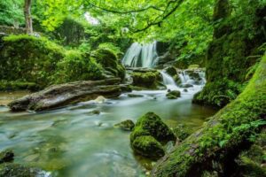 Waterfall in midst of green landscape