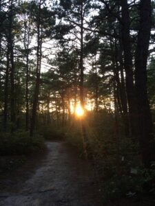 Sunset in the Pines -- trail to primitive cooking area